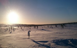 フィンランドの風景