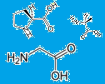 コラーゲン･アミノ酸2